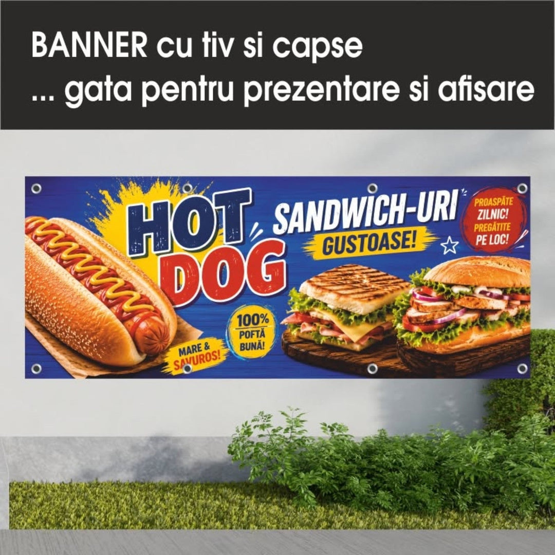 Grafică de banner hot dog și sandwich-uri — albastru și galben