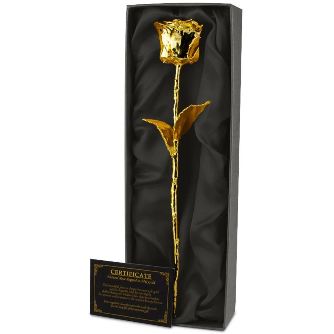 Trandafir placat cu aur de 24k - Cadouri Personalizate